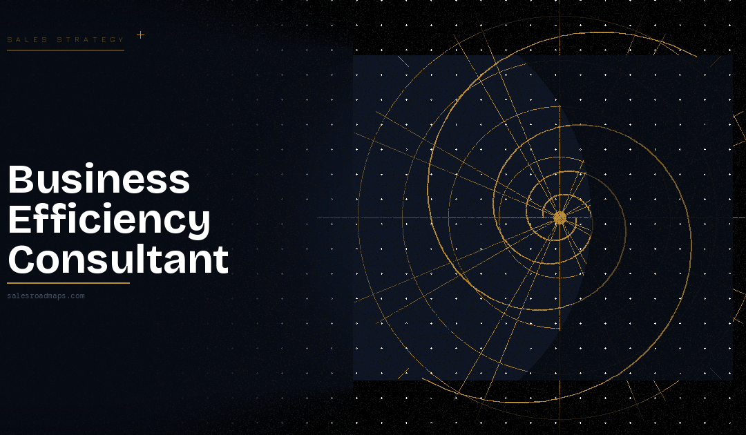 Business Efficiency Consultant