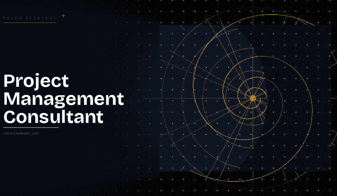 Hero banner: dark starry background with gold circular target design on the right; large text 'Project Management Consultant' and 'salesroadmaps.com'